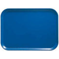 12-PACK OF TRAY PLAS CAM AMAZON BLUE