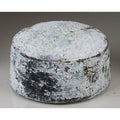 1-PACK OF CHEESE GOAT SNOW WHT
