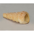 1- PACK OF PASTRY CREAM HORN PUFF MINI