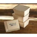 1-PACK OF BOX BENTO W/LID 3X4