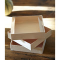 300-PACK OF TRAY BIODEGRADABLE PALM COLLAPSIBLE