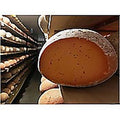 1-PACK OF CHEESE WHEEL HARVEST MOON