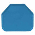 12-PACK OF TRAY CAMTRAY FBG TRAZ HZB 18"W