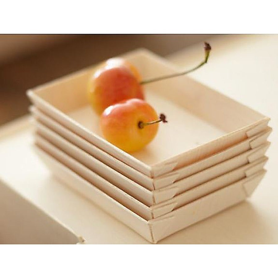1-PACK OF TRAY RECT MINI 2X4