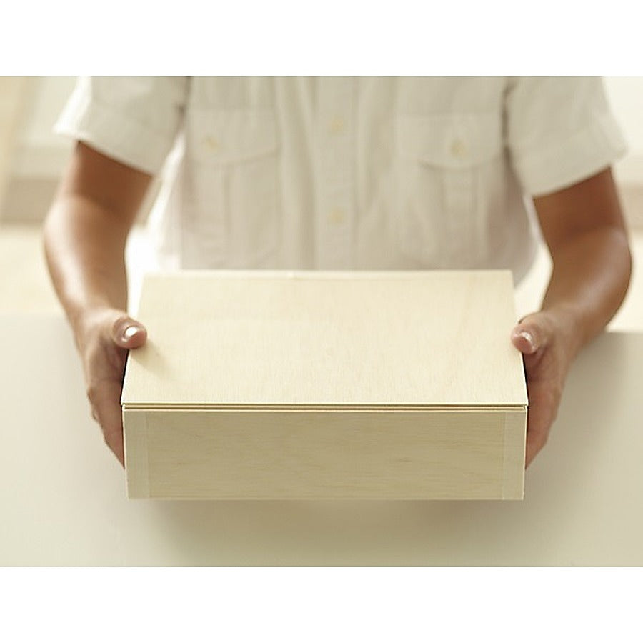 1-PACK OF BOX BENTO W/LD DISP 8X11 IN