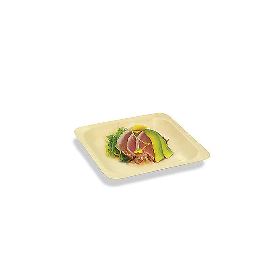 1-PACK OF PLATE DISP