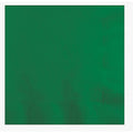 12-PACK OF NAPKIN BEV 2P EM GR SQ 10"
