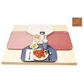 12-PACK OF TRAY FBRGLS CT TRAP JVTK 22W
