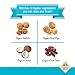100% RAW Fig & Walnut Balls - Have A Ball (9 Balls) - Whole Food Energy Snacks | NO Added Sugars or Preservatives | NON-GMO, VEGAN, GF & Kosher