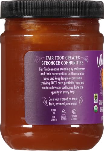Wholesome Sweeteners 16-Ounce Organic Raw Unfiltered Honey Jar, 100% Pure, Fair Trade Certified, Non GMO Project Verified, & Gluten Free, 1 Pack