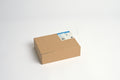 1000-PACK OF BAG PLAS PRTN FLAT TOP MONDAY