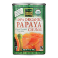 6-PACK OF Fruit Papaya Chunks Native Forest 14 oz