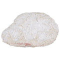 8 OZ-PACK OF BEEF FRITTER NATURAL HAND BRD