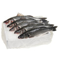 25 LB-PACK OF SEABASS WHL CHIL H\G SCLD