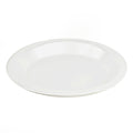 4-PACK OF PLATE FOAM LAM WHT 10.25"