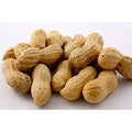 12-PACK OF Peanut Jumbo Salted In Shell Gurley's Golden Recipe, 12 - 12 OZ