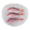 10 LB-PACK OF SNAPPER WHL SCLD/GTD 3-4LB GW