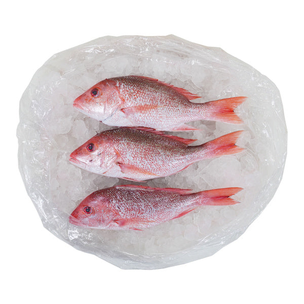 10 LB-PACK OF SNAPPER WHL SCLD/GTD 3-4LB GW