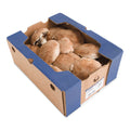 5LB-PACK OF MUSHROOM PORT RNDM W/STEM FRSH