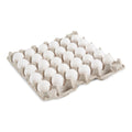 1-PACK OF EGG SHELL MED GR AA USDA WHT