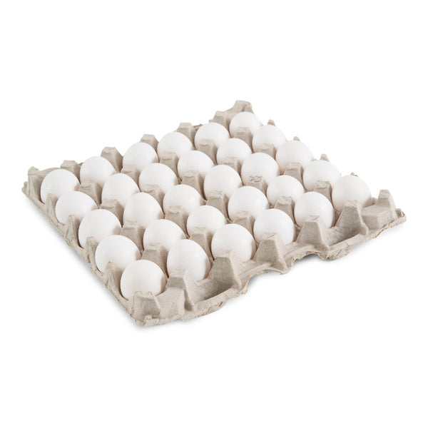 1-PACK OF EGG SHELL MED GR AA USDA WHT