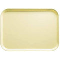 12 CT-PACK OF TRAY FIBERGLASS LEMN 22.5