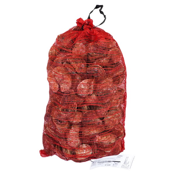 100CT-PACK OF OYSTER INSHELL JAMES RIVER