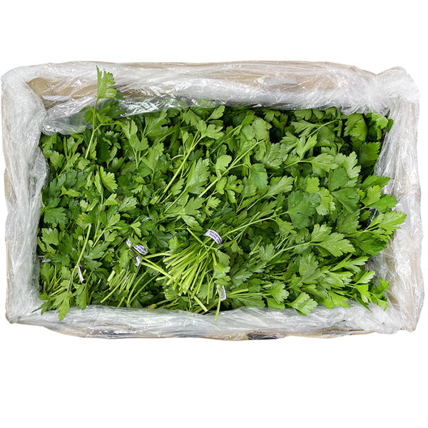 30 CT-PACK OF PARSLEY ITALIAN