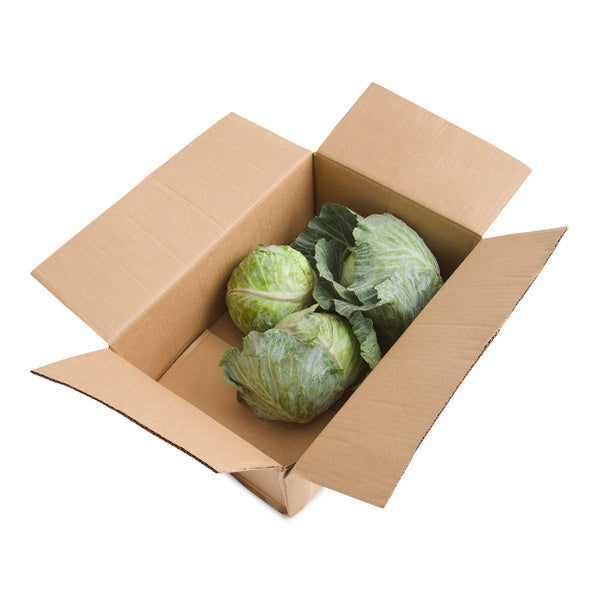 3 CT-PACK OF CABBAGE GREEN FDSVC