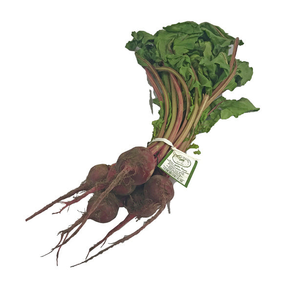 24 CT-PACK OF BEET BABY VARIETY FRESH