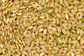 1-PACK OF RICE CALROSE BRN