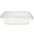 400-PACK OF Container Food 24 oz Low Profile Top Vented PLA Berry Containers | Good Natured Products | 400 count
