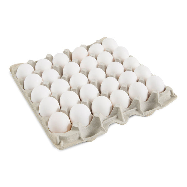 1-PACK OF EGG SHELL LARGE GR AA USDA WHT