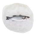 10#AVG-PACK OF BRONZINI WHL SCALED & GUTTED