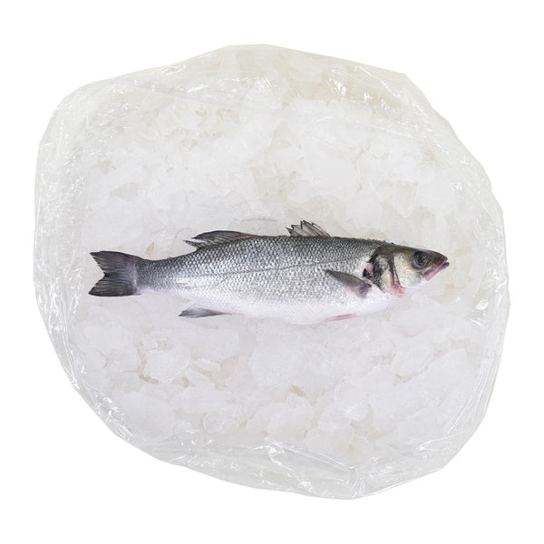10#AVG-PACK OF BRONZINI WHL SCALED & GUTTED
