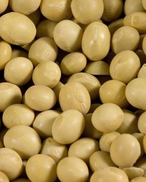 6-PACK OF Bean Soy Yellow, Organic, 6X15 Oz