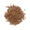 1-PACK OF SPICE CARAWAY SEED