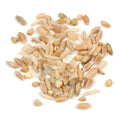 1-PACK OF GRAIN SPCLTY NINE MIX