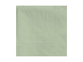 4-PACK OF NAPKIN BEV 9.5X9.5 2PLY SAGE
