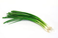 2 LB-PACK OF ONION GREEN ICELS