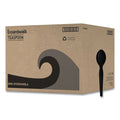 1000-PACK OF Cutlery Plastic Premium Heavyweight Black Polystyrene Teaspoon Cutlery - 1000 Count for Catering and Events