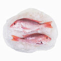 10#AVG-PACK OF SNAPPER GULF WHL 4-6# GW