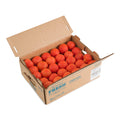 60 CT-PACK OF TOMATO 2 LAYER 5X6 FRESH