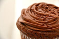 32- PACK OF CUPCAKE CHOC GLUTEN FREE