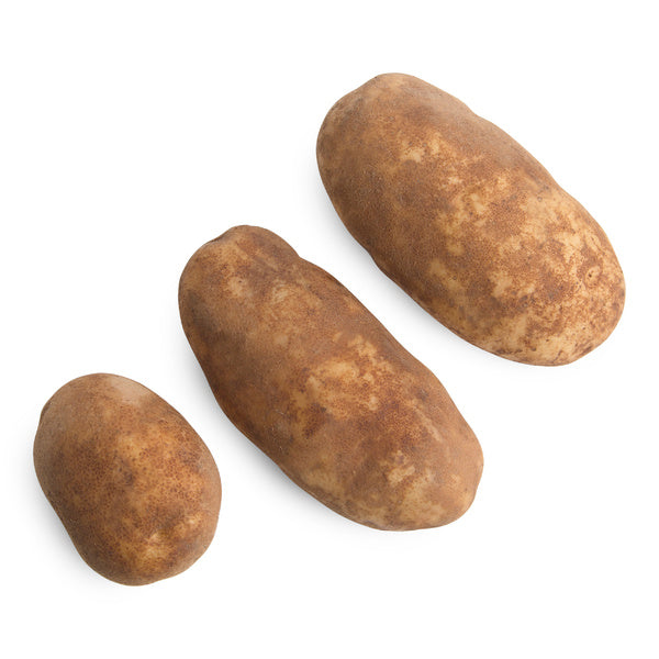 50 LB-PACK OF POTATO BAKING RUSSET 80CT FRSH