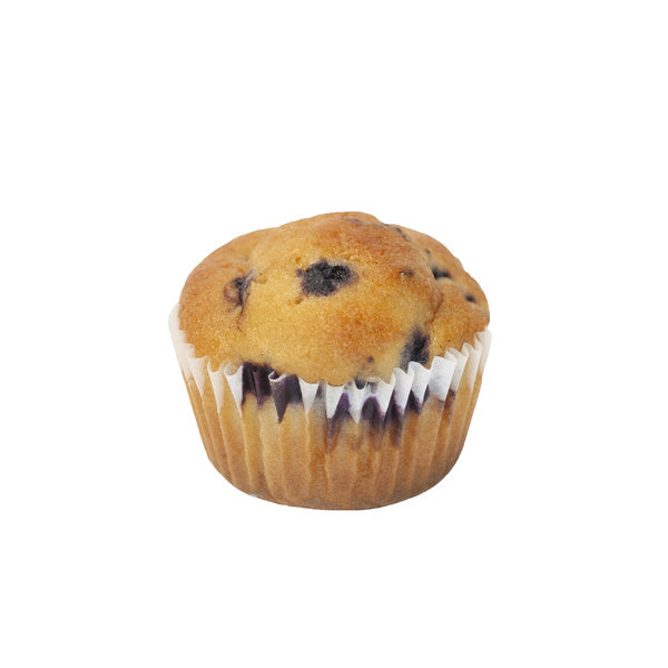 72- PACK OF MUFFIN BLUEBERRY