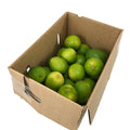 24 CT-PACK OF LIME FRESH