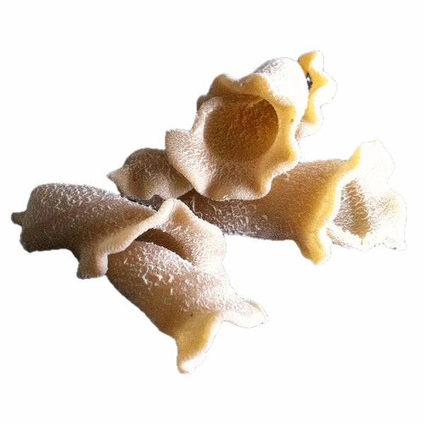 2-PACK OF Pasta Trumpets Porcini Bulk, Sfoglini Pasta