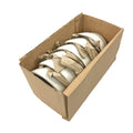 1EA-PACK OF CUP BOUILLON BRT WHT 7 OZ