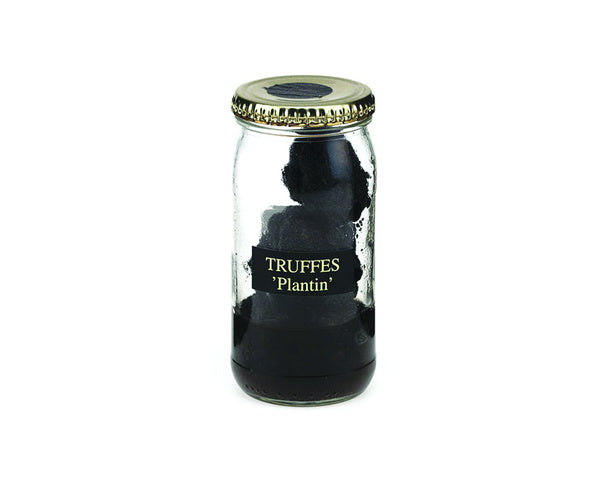 1-PACK OF TRUFFLE WINTER TIN